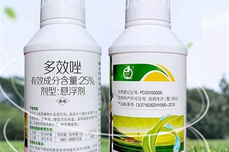 叶面肥料一般在什么时候使用(叶面肥在什么时间喷效果好)