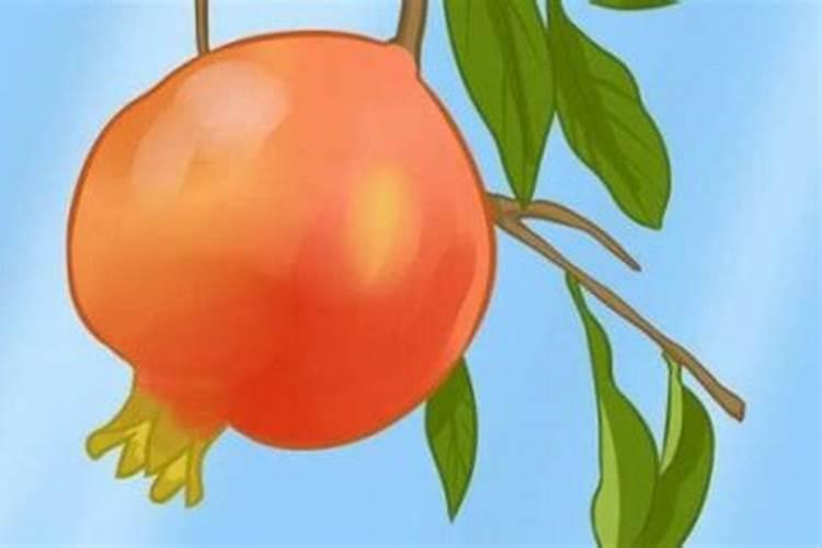夏天草坪可以施复合肥吗