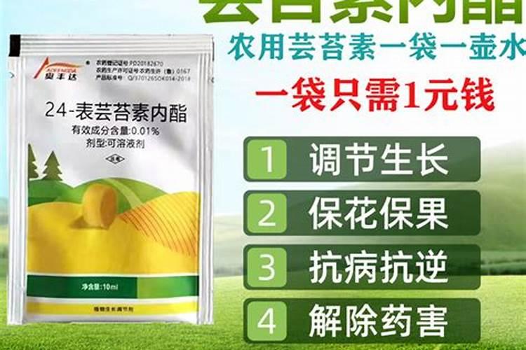 小麦打除草剂能加芸苔素吗