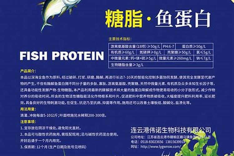 鱼蛋白粉的功效与作用