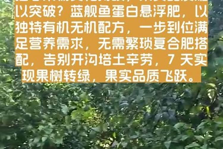 鱼蛋白肥料哪个品牌好,鱼蛋白肥料的功能与效果