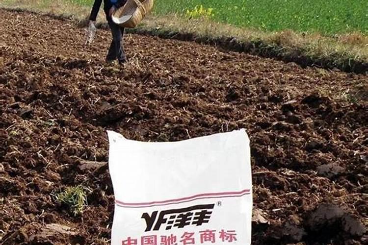 生活中怎么鉴别水溶肥的好坏