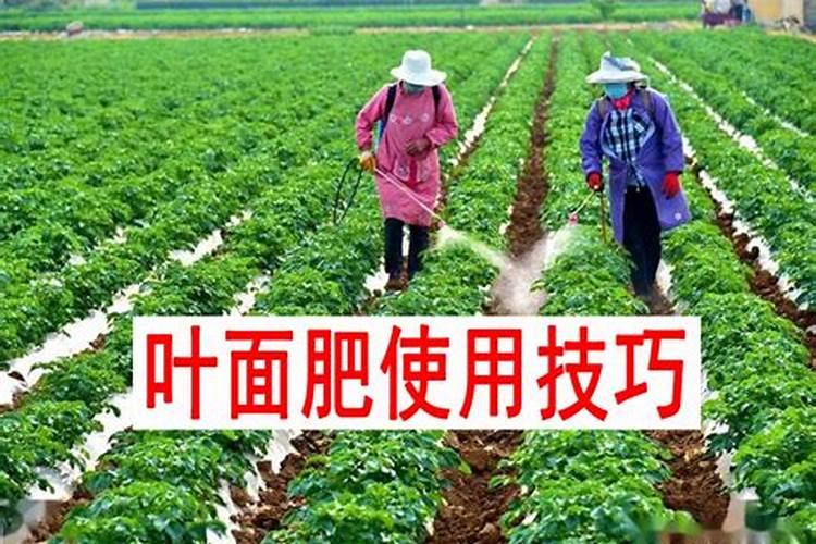 复合肥的氮磷钾含量是多少