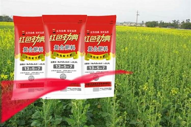 油菜打硼肥什么时候打好
