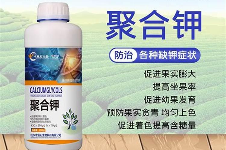 桃树裂果和果锈,怎样治理