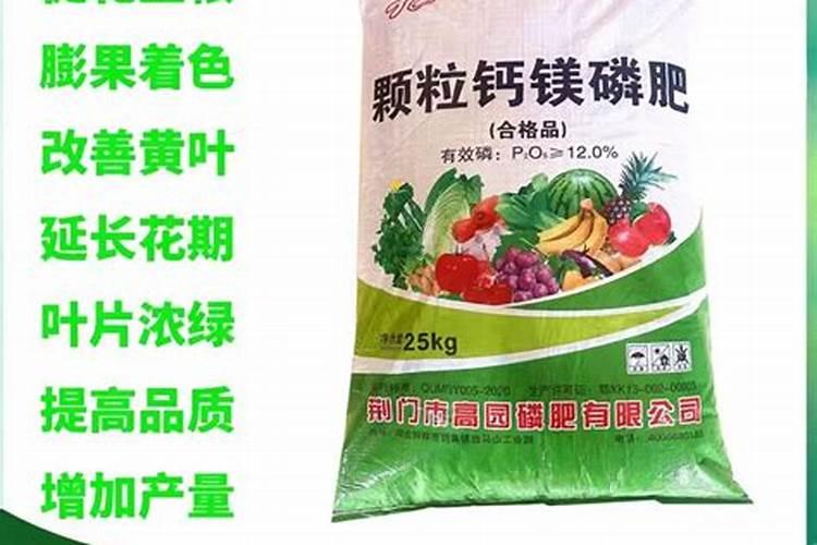 给蔬菜施肥时,磷肥的讲究到底有哪些呢？