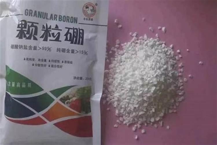 自家种的葡萄树施什么肥好