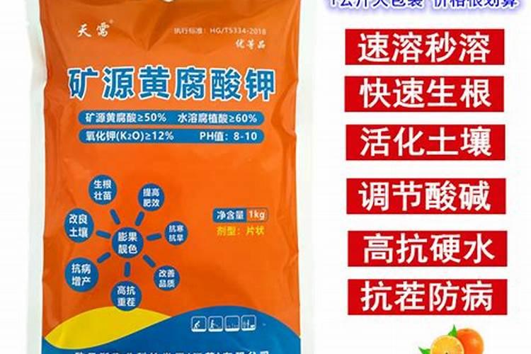 柿子树施什么肥最好