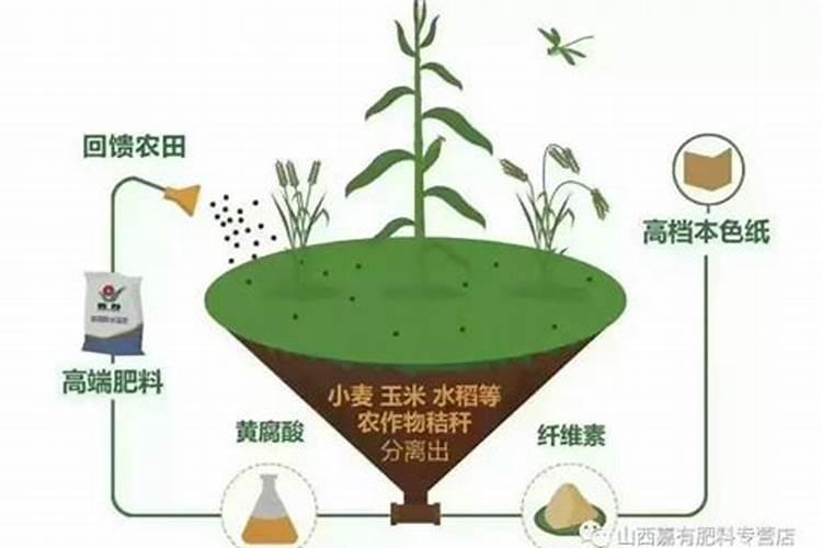 什么是腐殖酸,腐殖酸的效果及用法
