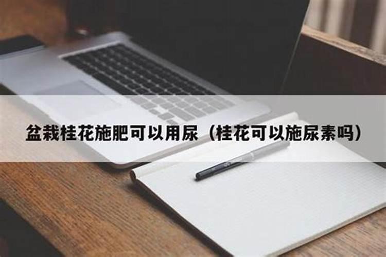 水溶肥十大名牌