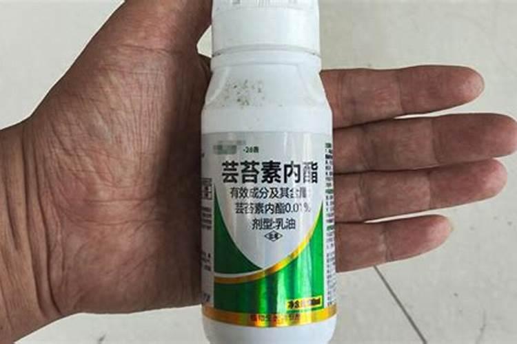 水溶肥十大名牌