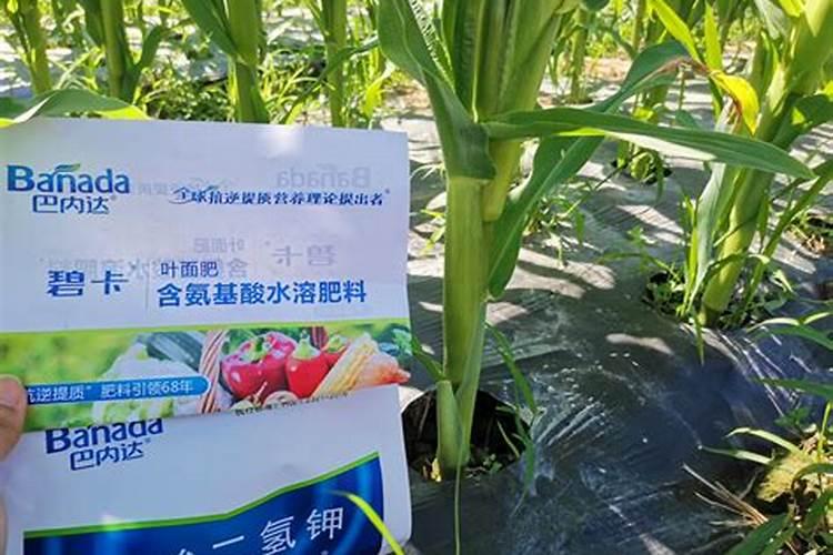 磷酸二氢钾可以和肉一起掺水吗？
