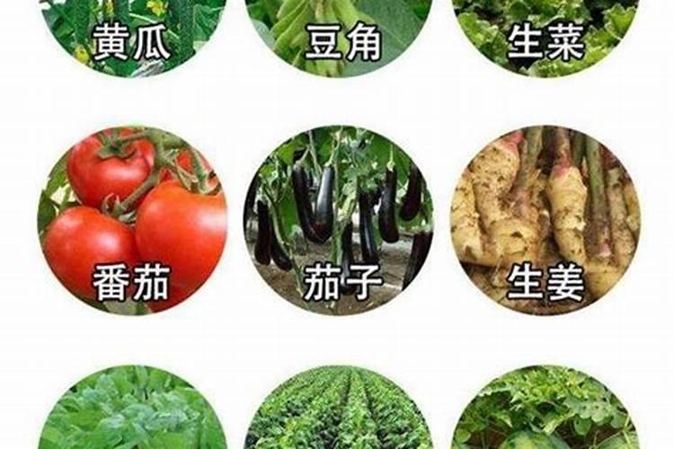 生化黄腐酸钾施入地里有什么缺点