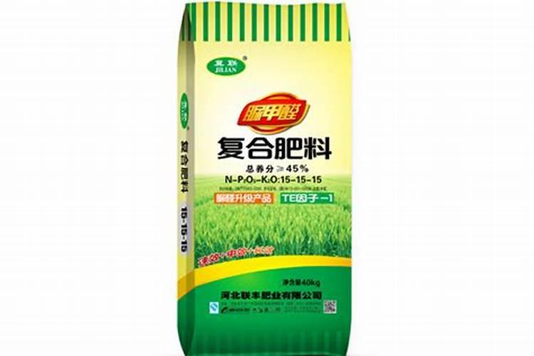 玉米滴灌种植施肥技术