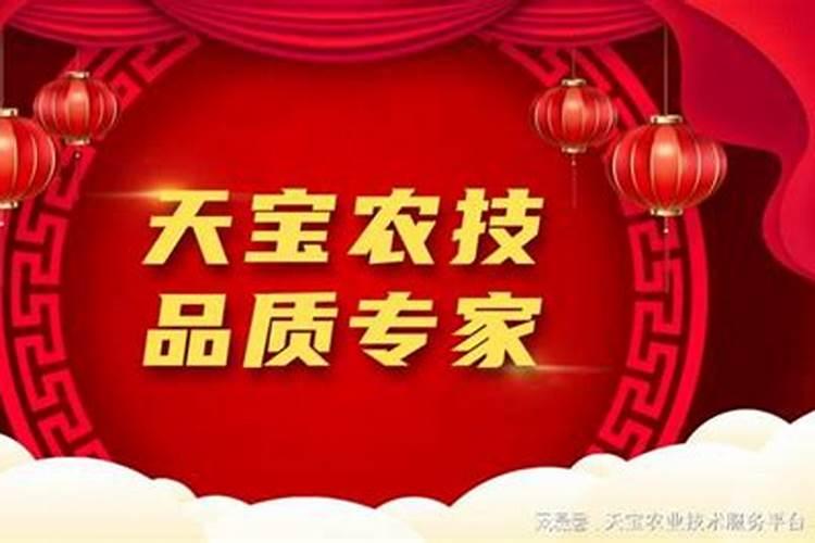 玉米滴灌种植施肥技术