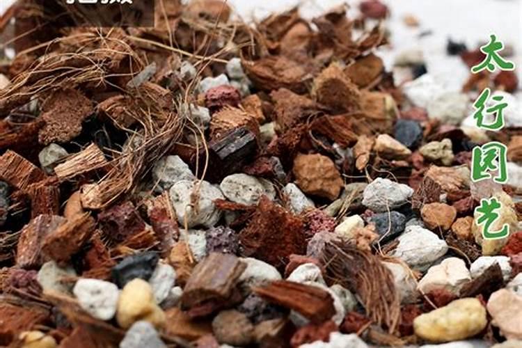 兰花缓释肥什么品牌好 兰花缓释肥什么品牌好一点