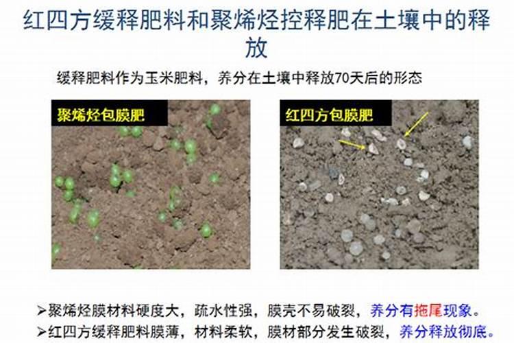 控释肥哪家好？