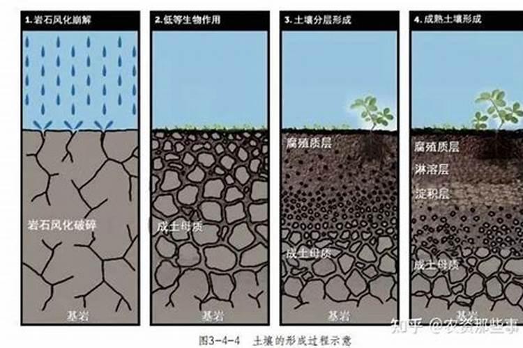 腐植酸生产工艺流程