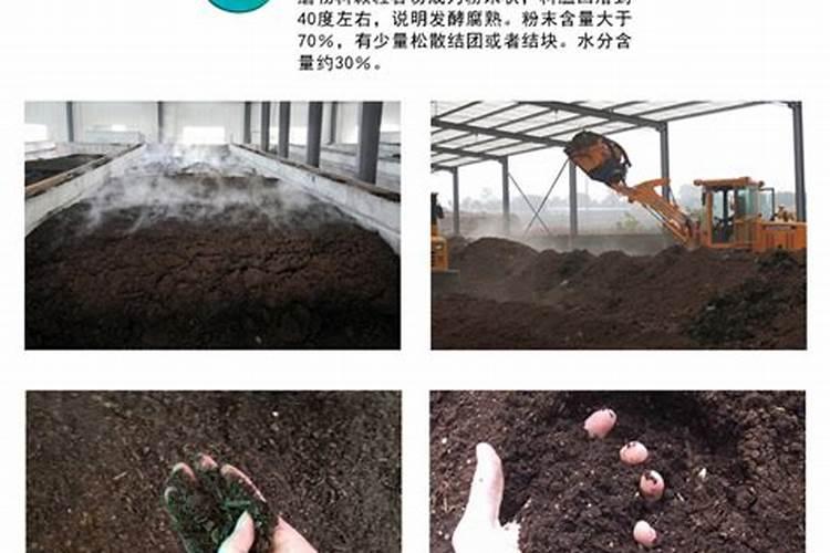 叶面肥喷施后几天见效