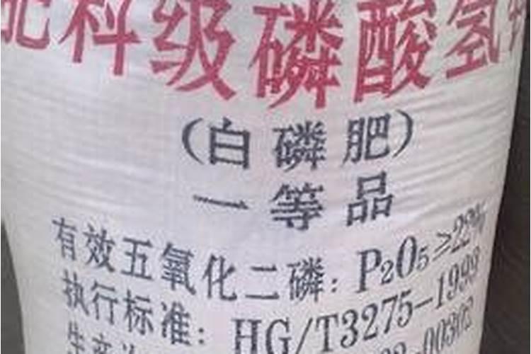 君子兰如何养,如何施肥