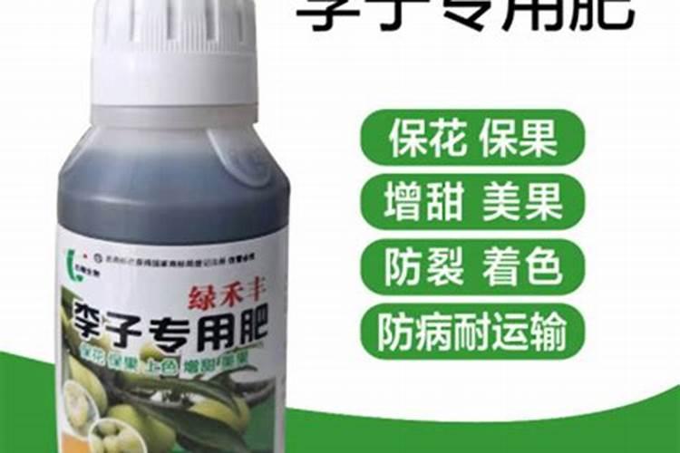 种植李子怎么管理结果多产量高？李子膨果增甜叶面肥哪种好