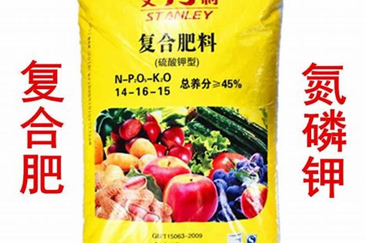 种菜地底肥用什么肥料最好