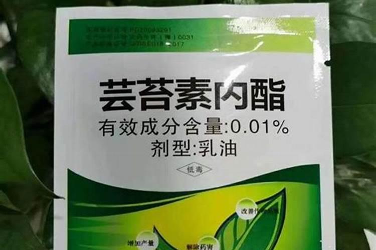 氮肥促进果树开花结果吗