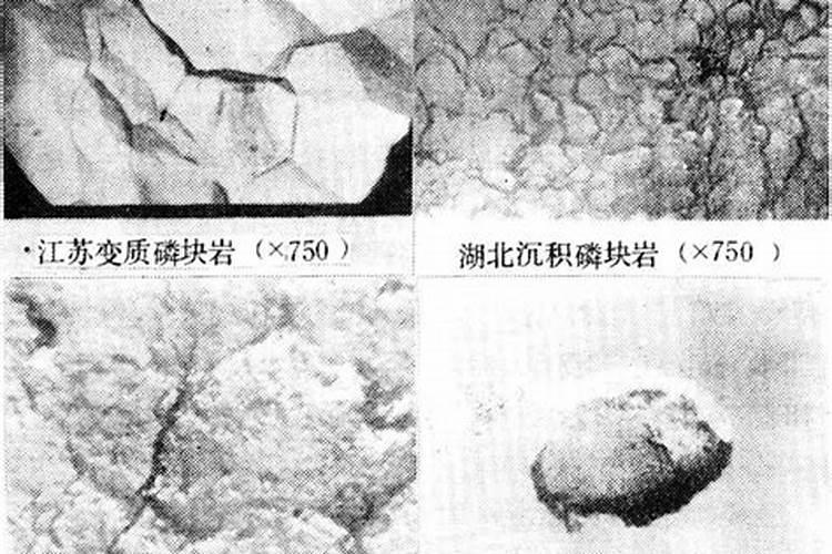 种花需要肥料,请问什么是磷肥、什么是氮肥、什么是钾肥？