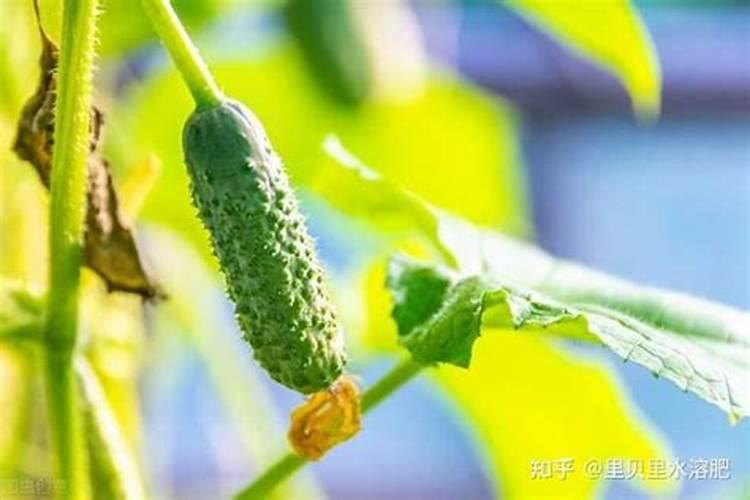 硝基复合肥知识介绍,硝基复合肥生产工艺