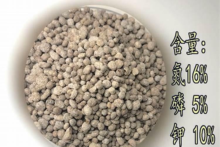 黄瓜施肥的正确方法