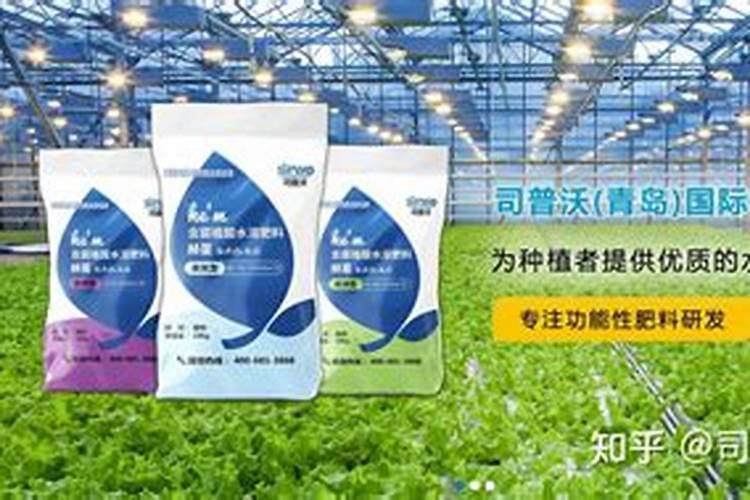自己种的黄瓜什么时候能施肥？