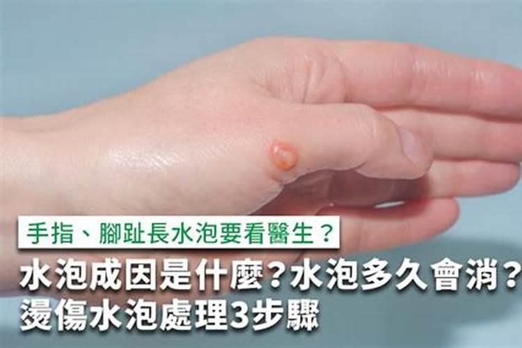 豆腐渣怎么发酵做肥料最简单的方法