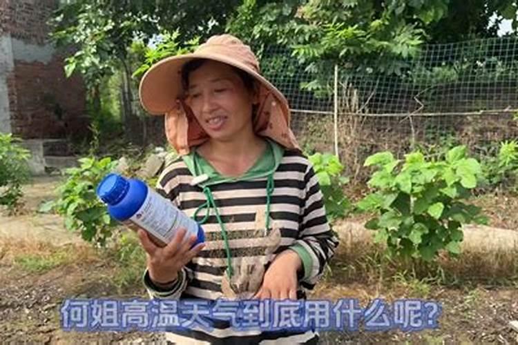 磷酸二氢钾可是个好东西,如何使用效果好？