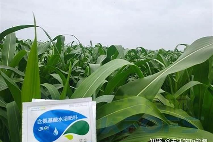 给葡萄树打叶面肥,一百斤水加多少尿素？那位朋友知道了说一声。谢谢了...