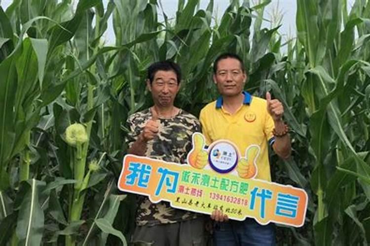 韭菜用什么肥料长得最好