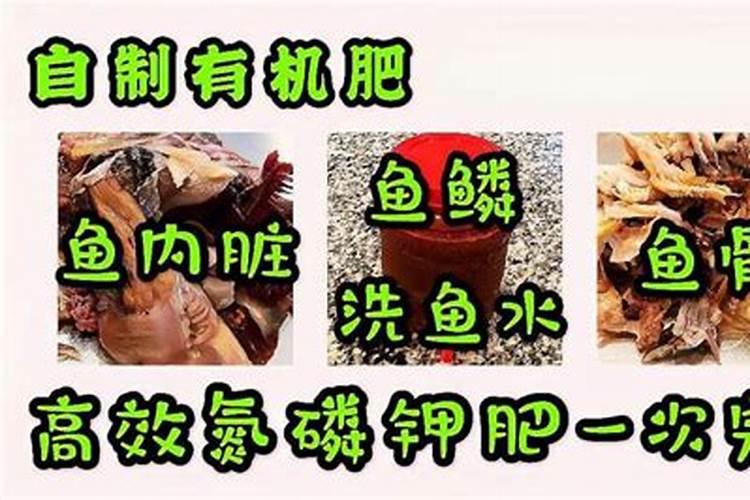 求教鱼内脏能否做肥料