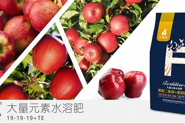 楼顶的灰尘可以种菜吗