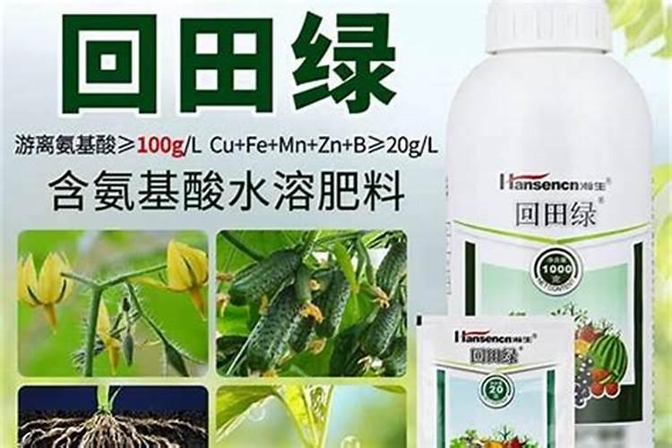盆景上有青苔怎么施肥？