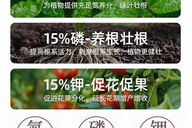 青苔可以做花土吗？