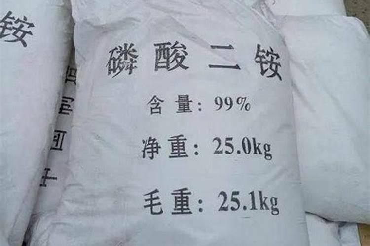 青苔怎么养才茂盛
