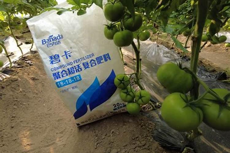 今年回家做肥料批发有没有推荐的水溶肥品牌？