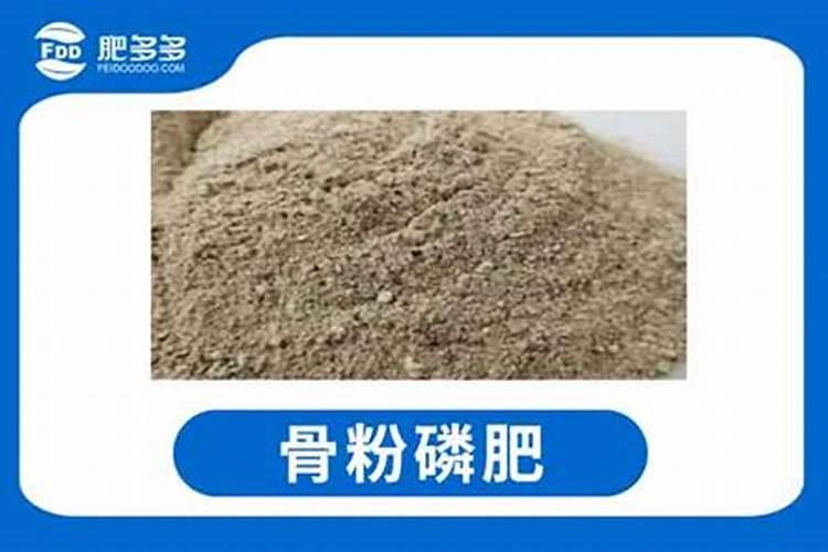 山东多益成肥料科技有限公司怎么样？