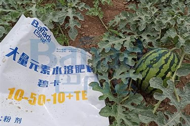 施可丰果色甜香黄腐酸钾价格是多少？