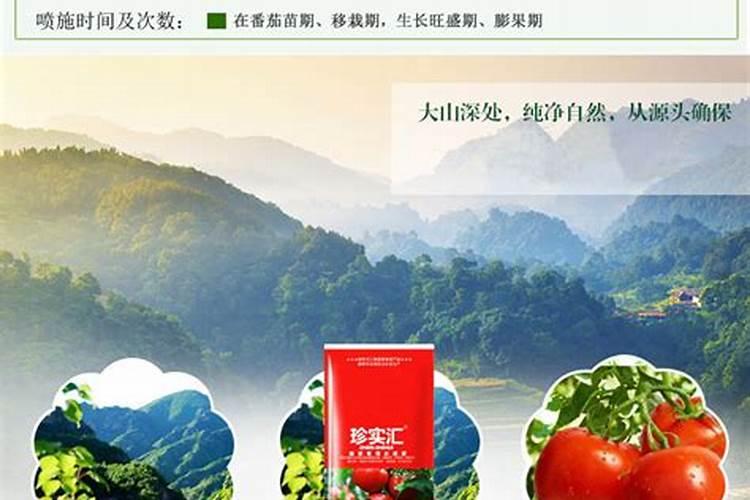 大棚蔬菜常用肥料有哪些