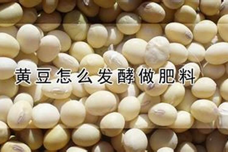 一亩地用黄豆发酵的原液一百斤能肥得起来吗？