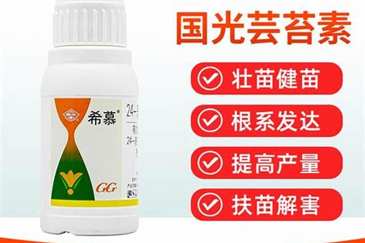 葡萄浇水高氮水溶肥能和硫酸镁混合用吗？