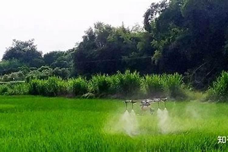 小麦打完叶面肥几天打除草剂？