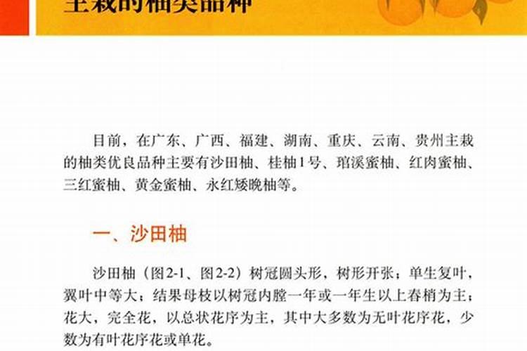 植物缺钾怎么补充？用什么肥补钾效果好？