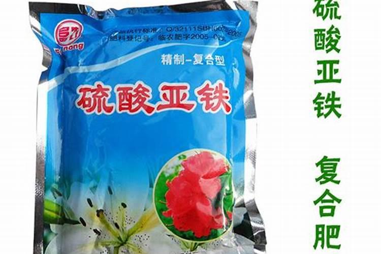 芦荟吸甲醛吗,有能解答的吗？