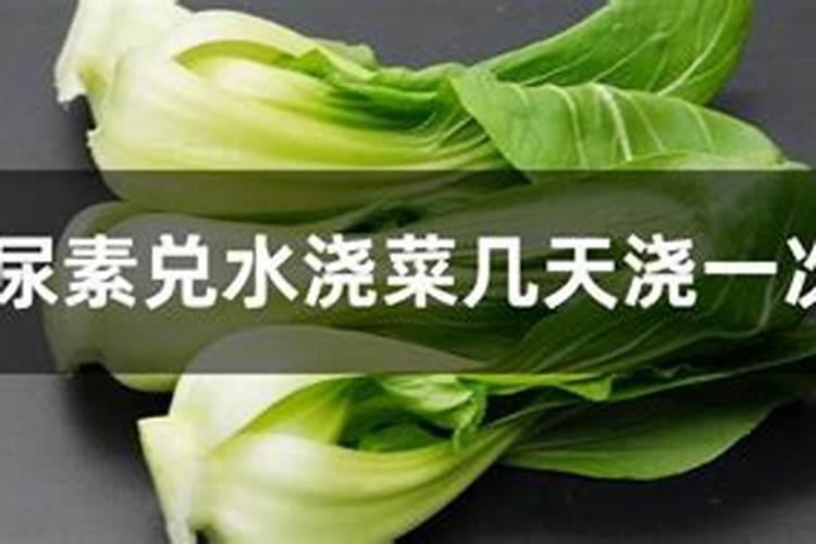 叶面肥多长时间下雨有效